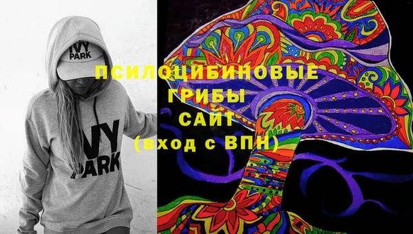 мдпв Верхний Тагил