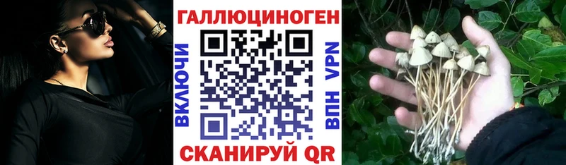 Купить Кораблино Галлюциногенные грибы Magic Shrooms